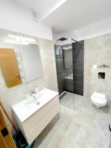 e bagno con lavandino, servizi igienici e doccia. di Cosy&Minimalistic Apartments - Haret Building a Sinaia