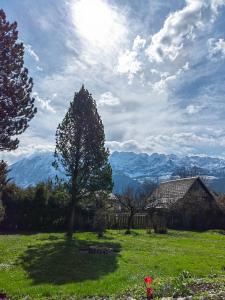 un árbol en un campo con montañas en el fondo en Hotel Aquamarin, en Bad Mitterndorf