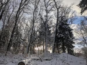 Cosy chalet in nature冬天相片