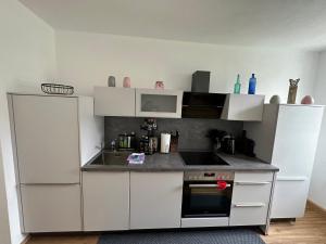 Kuhinja oz. manjša kuhinja v nastanitvi Traunkai Apartments Bad Ischl