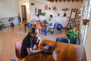 Επισκέπτες που μένουν στο LAVA Açores Coliving & Coworking