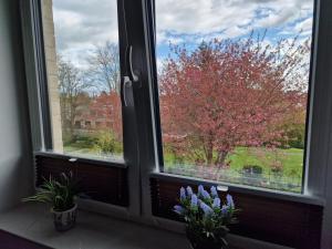 a window with two potted plants on a window sill at Moderne Penthouse Wohnung in Schleswig