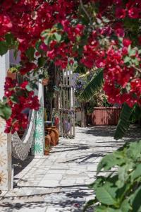 Foto da galeria de Natural Mystic Hostel em Costa da Caparica