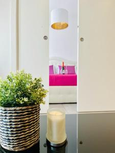 a candle and a potted plant in a room at Grazioso bilocale in centro storico in Verbania