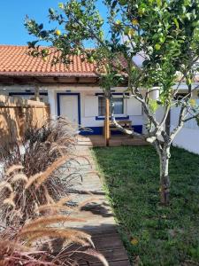 ein kleines Haus mit einem Baum im Hof in der Unterkunft Sado House 3 in Comporta