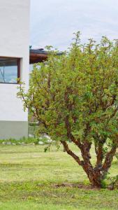 Un jardín fuera de Entre Montañas