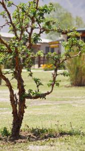 Un jardín fuera de Entre Montañas