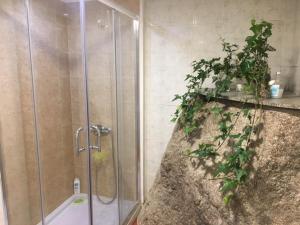 baño con ducha con una planta en la pared en AL Miradouro do Outeiro, en Guarda