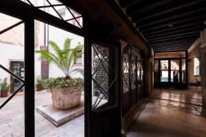 a large plant in a large pot in a hallway at Residence Ca' Foscolo in Venice