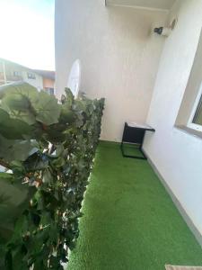 a room with a green floor and a plant at Apartament Terra II in Floreşti