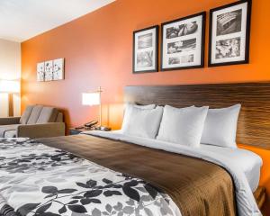 una camera d'albergo con un grande letto e una sedia di Sleep Inn & Suites Page at Lake Powell a Page