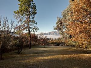 塔菲德尔瓦勒Casa en Tafí del Valle的一座树木繁茂的公园,一座山庄的背景