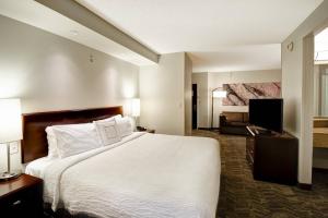 una camera con letto e TV a schermo piatto di SpringHill Suites Louisville Airport a Louisville