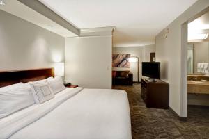 una camera d'albergo con letto e TV di SpringHill Suites Louisville Airport a Louisville