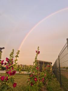 un arcobaleno sopra un giardino con fiori e una recinzione di 3 ruoniai a Palanga