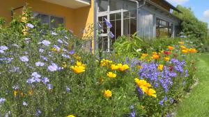 un champ de fleurs devant une maison dans l'établissement Landhotel Larenzen, à Kirchham