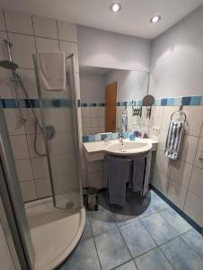 La salle de bains est pourvue d'une douche et d'un lavabo. dans l'établissement Landhotel Larenzen, à Kirchham