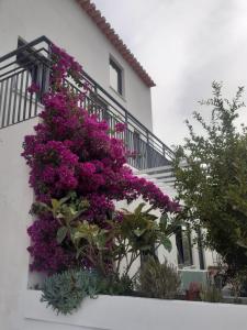 einen Balkon mit lila Blumen auf einem weißen Gebäude in der Unterkunft ZENergy - GUEST HOUSE in Odeceixe