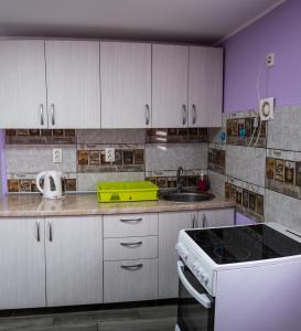 Кухня або міні-кухня у Apartman Bruno