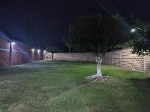 a tree in a yard at night with lights at Casa De Descanso Cuautla Morelos in Cuautla Morelos