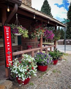 un groupe de fleurs en pots devant un bâtiment dans l'établissement Three Bears Lodge, à Red River