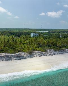 eine Luftblick auf einen Strand mit Palmen und das Meer in der Unterkunft Ataraxis Grand and Spa Fuvahmulah in Fuvahmulah