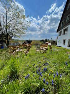 a field with picnic tables and blue flowers in the grass at Berghotel Hohegeiß in Hohegeiß