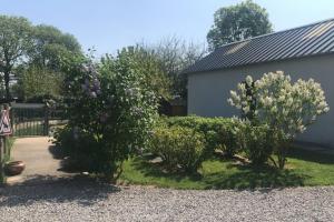 Un jardín fuera de Maison individuelle