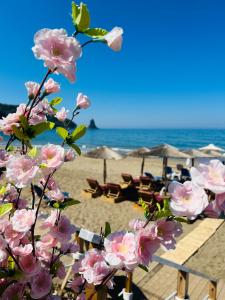 un ramo de flores rosas en una playa en Romantic Palace Beach Apartments, en Agios Gordios