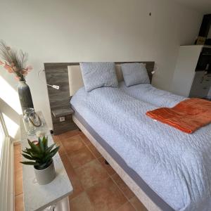 een slaapkamer met een bed met een blauw dekbed en een plant bij Ferienwohnung 1 Zimmer App Ankerplatz 43 im Olympiazentrum in Kiel