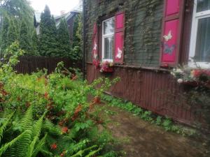 un jardín frente a una casa con flores en Stary Dom, en Augustów