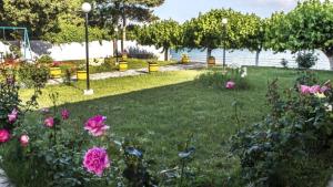 un jardín con flores rosas en la hierba en Senia Holidays, en Preveza