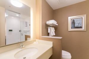 Ett badrum på Fairfield Inn & Suites by Marriott Buffalo Amherst/University