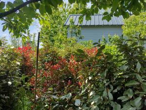 Vrt ispred objekta Tuinhuisje in het groen