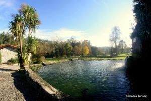 a pond of water with a palm tree next to it at Rilhadas Casas de Campo in Fafe