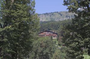 une maison au milieu d'une forêt d'arbres dans l'établissement Edelweiss, à Samoëns