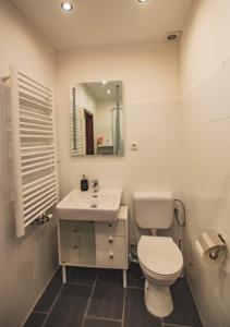 a bathroom with a toilet and a sink and a mirror at Moderne Wohnung in Neuwied City - fußläufig zum Rhein in Neuwied