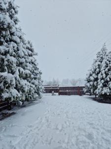 een besneeuwde oprit met sneeuw bedekte bomen en een hek bij Bunloc House in Braşov