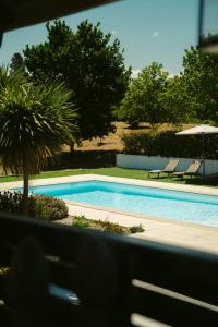 una piscina con due sedie e una palma di Pura - Home in Nature a Oliveira do Hospital