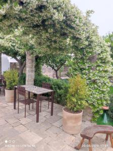 une table et des chaises assises sur un patio arboré dans l'établissement Corte Piri, à Tricase