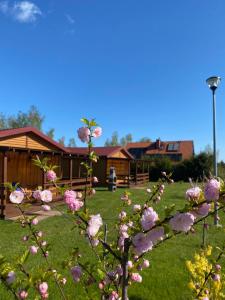 un arbre avec des fleurs roses dans une cour dans l'établissement Domki przy Akacjowej, à Rydzewo