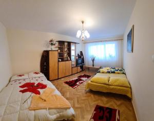 Krevet ili kreveti u jedinici u objektu Apartament Slănic Prahova