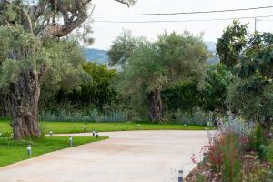 a parking lot with trees in a park at Aerinos private villa in Lefkada Town