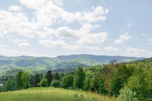 Peisaj natural din apropierea acestei case de vacanță