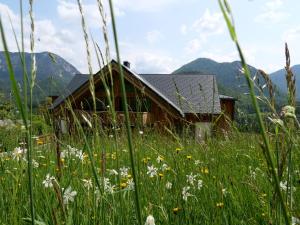 Naturlandskap nära lägenhetshotellet