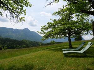 Naturlandskap nära lägenhetshotellet