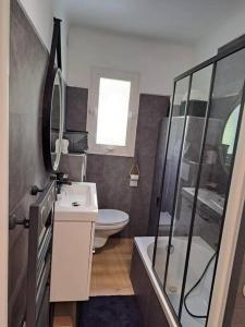 een badkamer met een toilet, een wastafel en een douche bij Beau studio proche centre ville et plage in Ajaccio