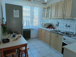 cocina con fregadero y fogones horno superior en Apartament Mazury, en Olecko