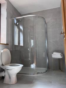 a bathroom with a shower and a toilet at Feeney's Audubon Lodge in Galway