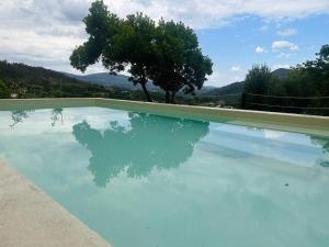 una piscina con reflejo de un árbol en el agua en Britelo 1828 - Refúgio na Natureza, en Ponte da Barca